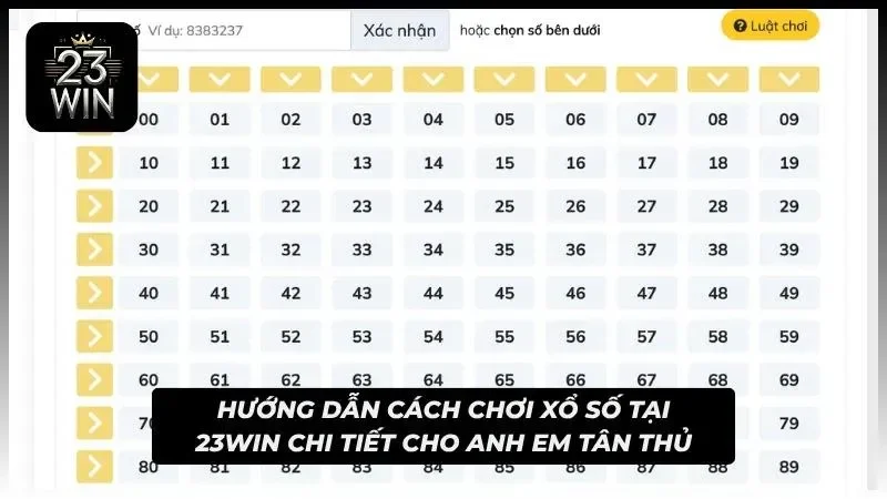Cẩm nang hướng dẫn cơ bản cho tân thủ